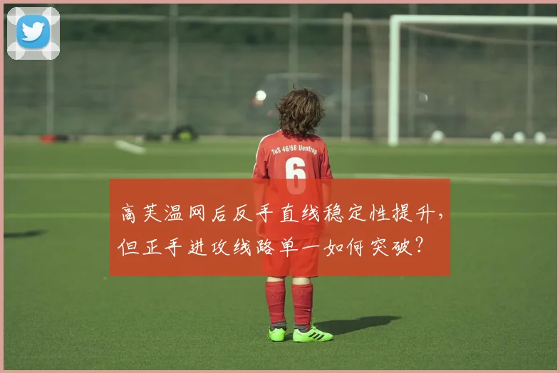 高芙温网后反手直线稳定性提升，但正手进攻线路单一如何突破？